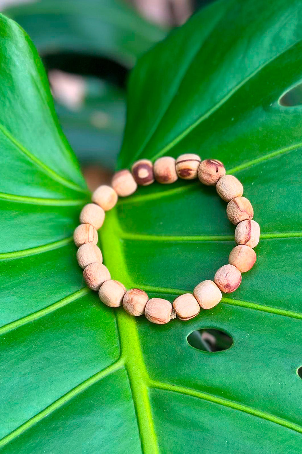 Palo Santo Bracelet