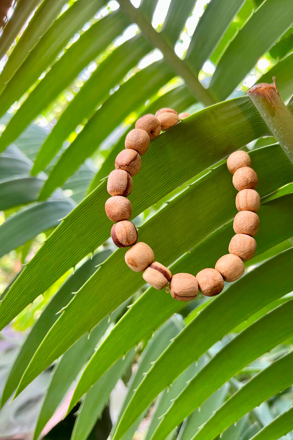 Palo Santo Bracelet